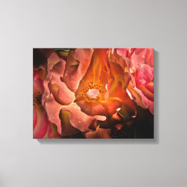 Hintergrundfarbe Blume 40 Leinwanddruck