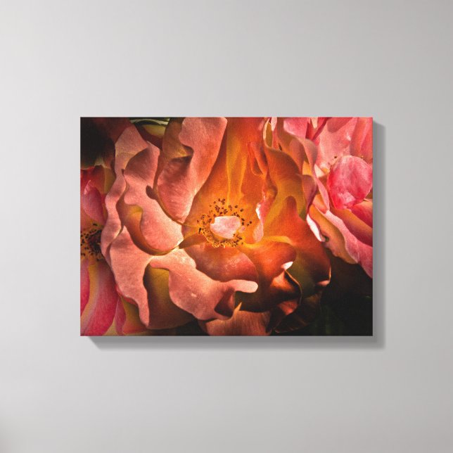 Hintergrundfarbe Blume 40 Leinwanddruck (Vorderseite)