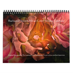 Hintergrundfarbe Blume Nr. 40 Kalender