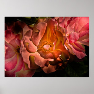 Hintergrundfarbe Blume Nr. 40 Poster