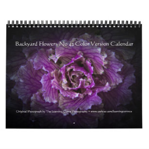 Hintergrundfarbe Blume Nr. 42 Kalender