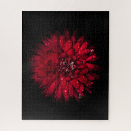 Hintergrundfarbe Blume Nr. 45