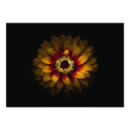 Hintergrundfarbe Blume Nr. 69 Fotodruck