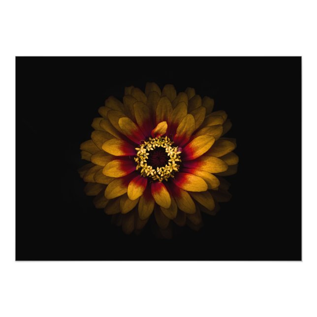 Hintergrundfarbe Blume Nr. 69 Fotodruck (Vorne)