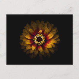 Hintergrundfarbe Blume Nr. 69 Postkarte