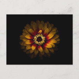 Hintergrundfarbe Blume Nr. 69 Postkarte