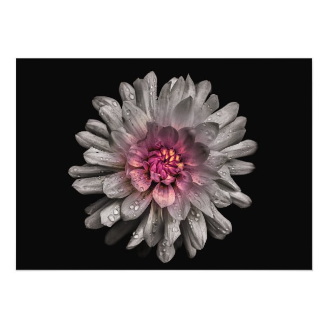 Hintergrundfarbe Blume Nr. 91 Fotodruck (Vorne)