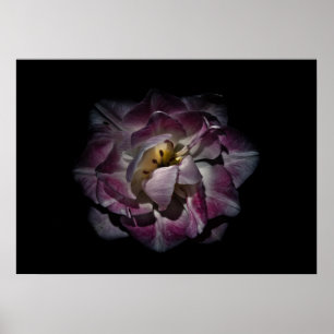 Hintergrundfarbe der Blume Nr. 81 Poster
