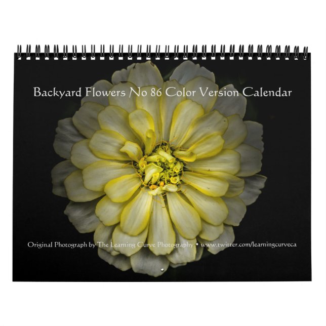 Hintergrundfarbe der Blume Nr. 86 Kalender (Titelbild)