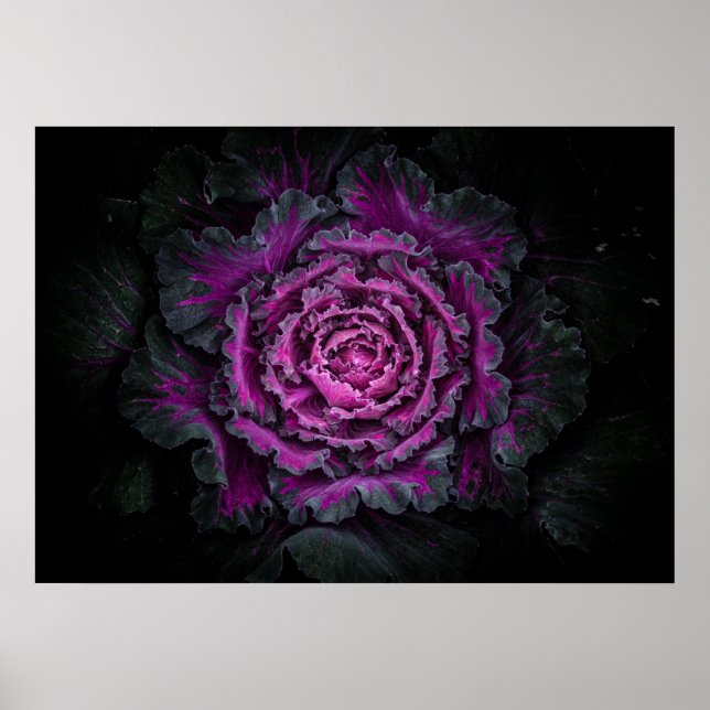 Hintergrundfarbe der Blume Nr. 99 Poster (Vorne)