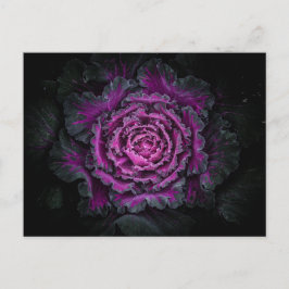 Hintergrundfarbe der Blume Nr. 99 Postkarte