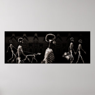 Hintergrundinformationen zu den X-Ray-Skeletten in Poster