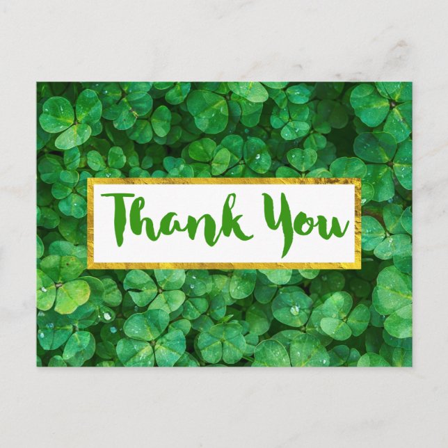 Hintergrundinformationen zu Green Clover-Blätter Postkarte (Vorderseite)