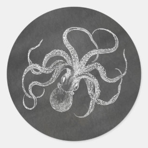 Hintergrundvorlage zum Vintagen Oktopus-Chalkboard Runder Aufkleber