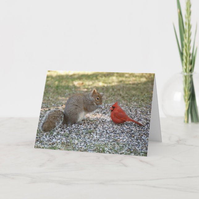 Hinterhof-Klatsch Karte (Vorderseite)