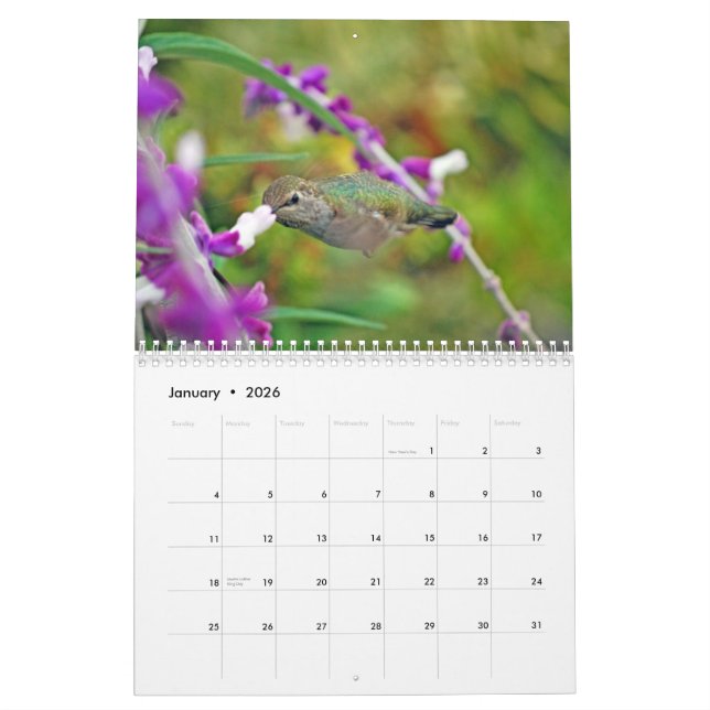Hinterhof-Kolibri-Kalender Kalender (Jan 2026)