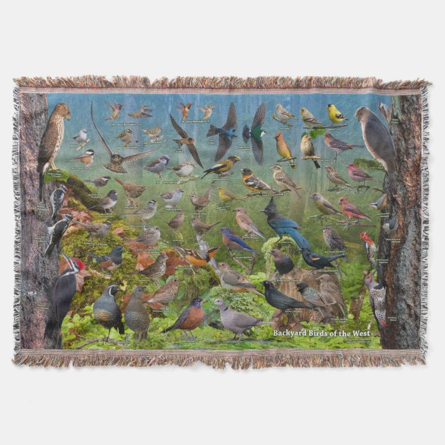 Hinterhof-Vögel des Westens Decke (Vorderseite)