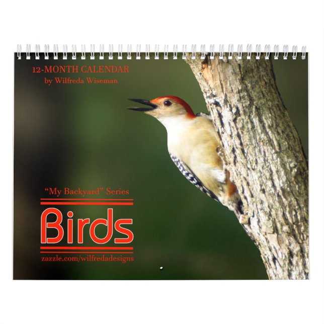 Hinterhof-Vogel-Kalender 2. in den Reihen Kalender (Titelbild)