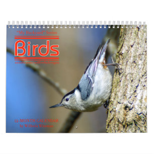 Hinterhof-Vogel-Kalender 3. in den Reihen Kalender