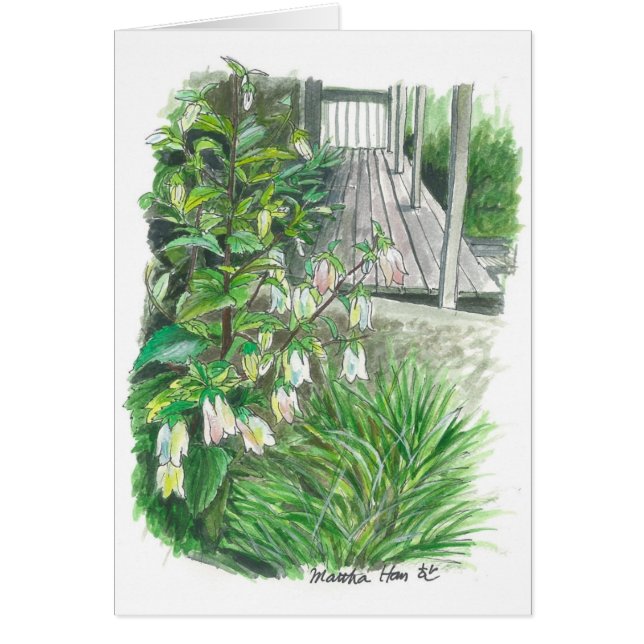 Hinterhofgarten (Vorne)