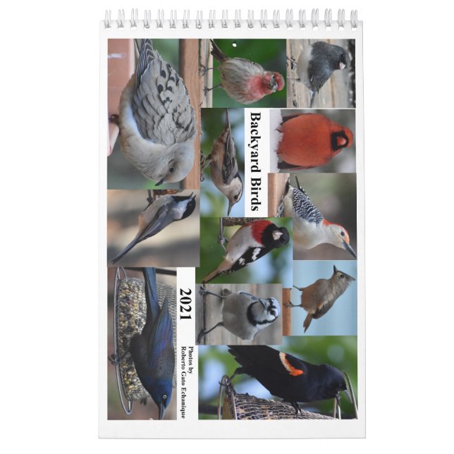 Hinterhofvögel im Mittelatlantik Kalender (Titelbild)