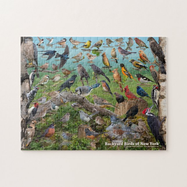 Hinterhofvögel im New Yorker Puzzle (Horizontal)