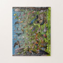 Hinterhofvögel im Westen