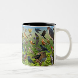 Hinterhofvögel im Westen Zweifarbige Tasse