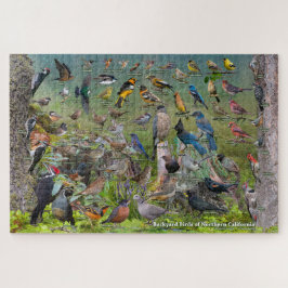 Hinterhofvögel in Nordkalifornien