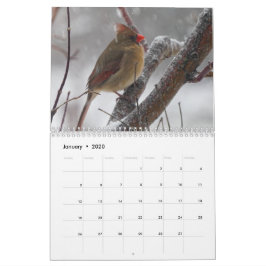 Hinterhofvögel Kalender