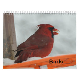 Hinterhofvögel Kalender