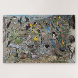 Hinterhofvögel von Nevada