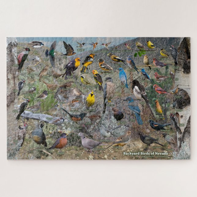 Hinterhofvögel von Nevada (Horizontal)