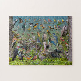 Hinterhofvögel von Western Oregon