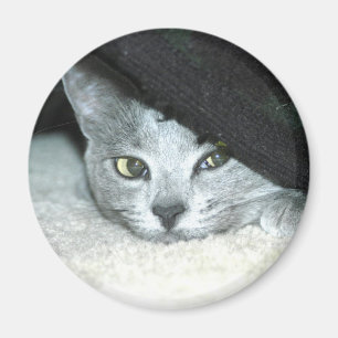 Hinterlistiges Karma Magnet