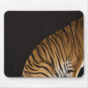 Hinterteil des Tigers auf Plattform Mousepad