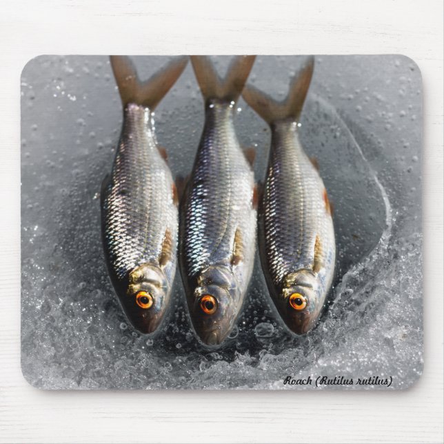 Hinterwelle Mousepad (Vorne)