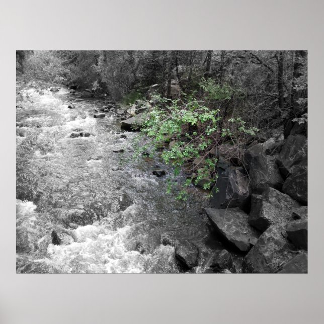 Hinweis auf Grün Poster (Vorne)