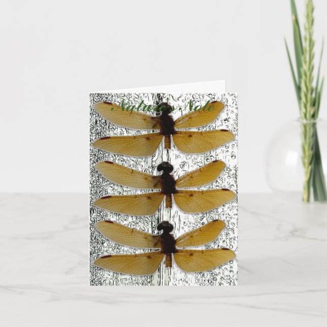 HINWEIS FÜR DAS FOTO DRAGONFLY LEAF (Vorderseite)