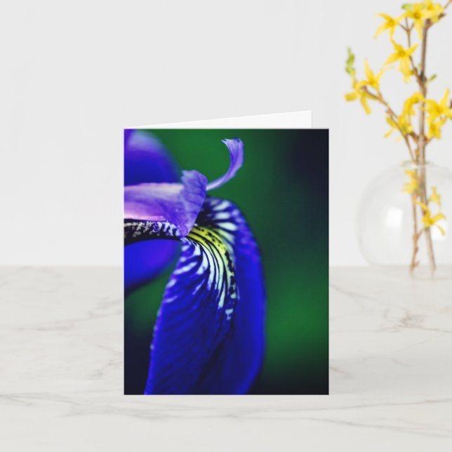 Hinweis für die blaue Flagge Iris-Blume Karte (Gelbe Blume)