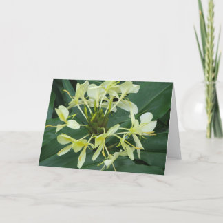 Hinweis für die tropische botanische Blume Karte