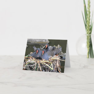Hinweis: "Vier im Bett" Moorhens Karte