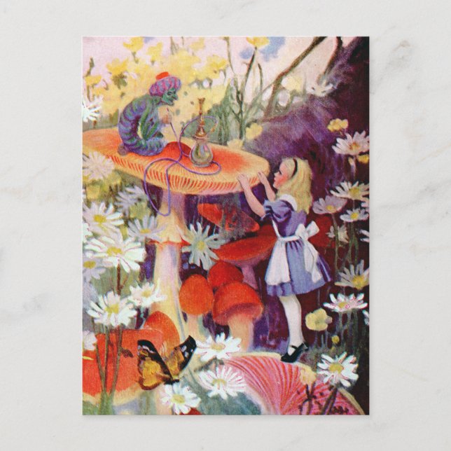 HINWEISE AUS EINER RAUPE POSTKARTE (Vorderseite)