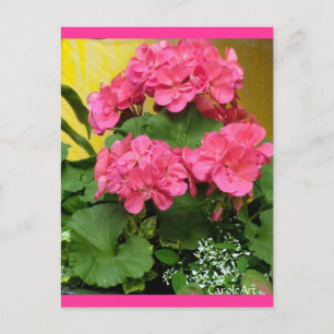Hinweise und Briefmarke zu "Topf-Korallenrosa-Gera Postkarte