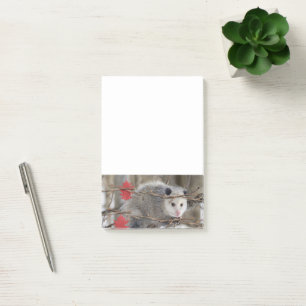 Hinweise zur Opossum-Natur Post-it Klebezettel