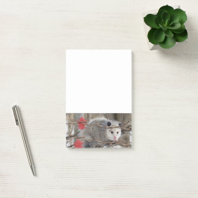 Hinweise zur Opossum-Natur Post-it Klebezettel (Büro)