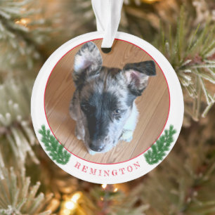 Hinzufügen eines angepassten, doppelseitigen Pupp Ornament