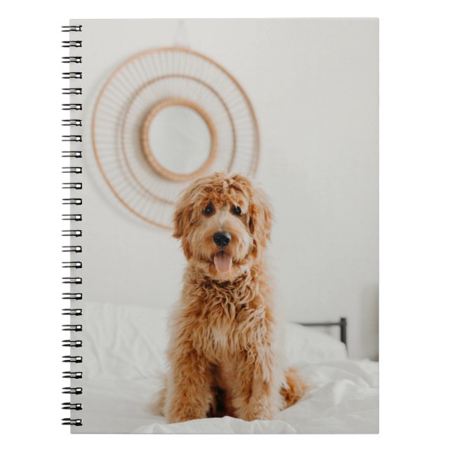 Hinzufügen eines eigenen Foto-Image-Logo-Bildabbil Notizblock (Vorderseite)