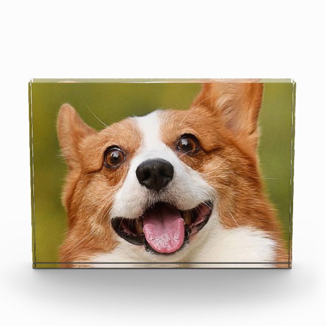Hinzufügen eines Personalisierten, benutzerdefinie Fotoblock (Vorderseite)