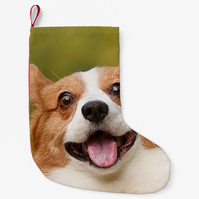 Hinzufügen eines Personalisierten, benutzerdefinie Kleiner Weihnachtsstrumpf (Vorderseite)